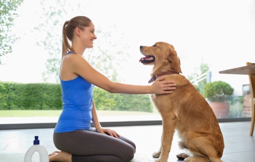 3 disciplines à connaître pour faire du sport avec son chien