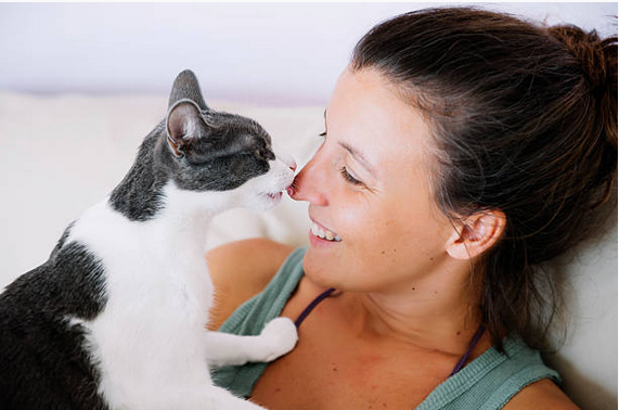 Le chat, votre allié pour agir contre le stress